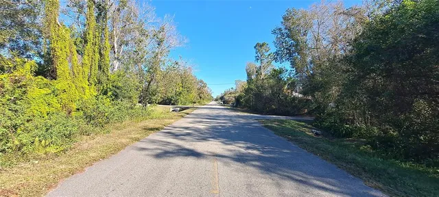 a view of a yard with plants and trees