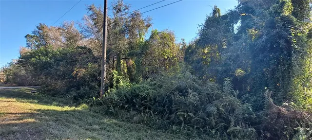 a view of outdoor space and yard