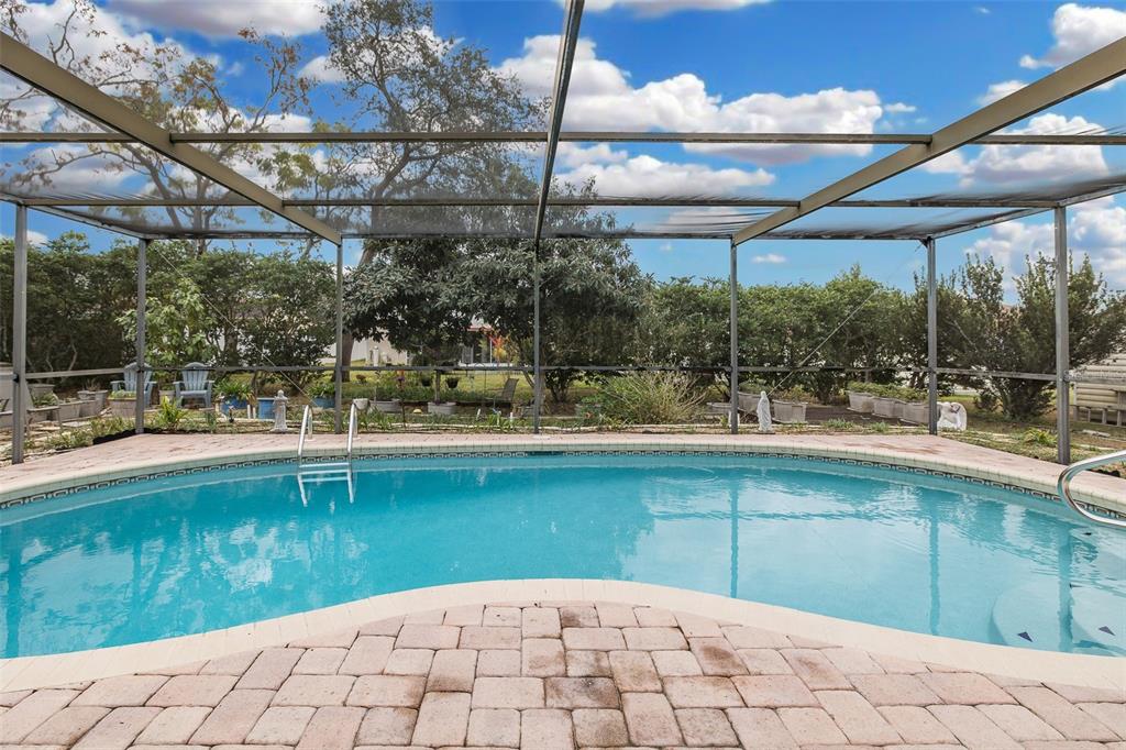 11196 Redgate Street Spring Hill, FL 34609 - Photo 38 of 50