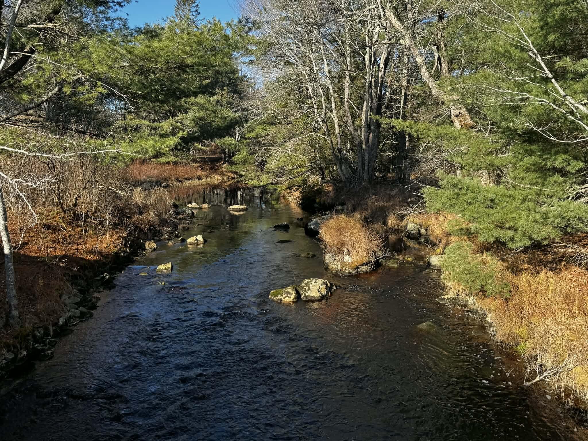 425 Saco Road Columbia Falls, ME 04623 - Photo 67 of 69 97