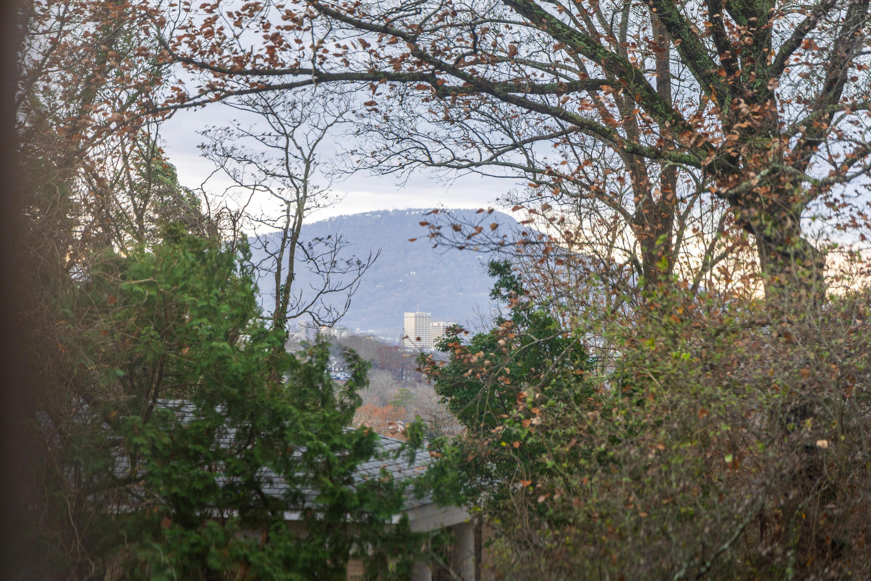 31 Minnekahda Place Chattanooga, TN 37405 - Photo 38 of 119 UNIT 2