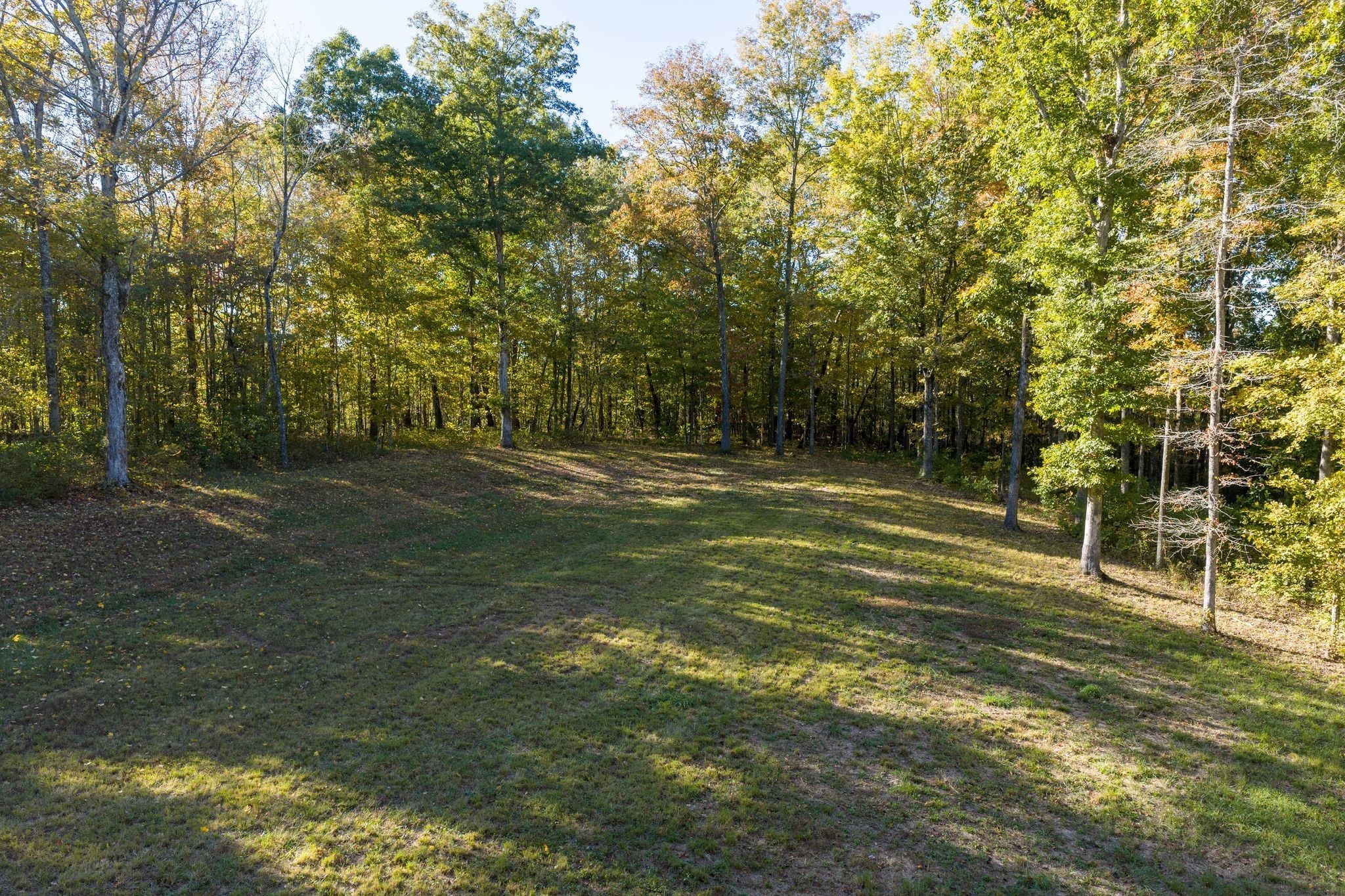 7483 Liberty Road Fairview, TN 37062 - Photo 46 of 52