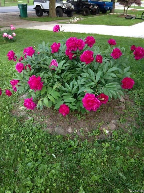4032 South Mill Road Dryden, MI 48428 - Photo 23 of 24