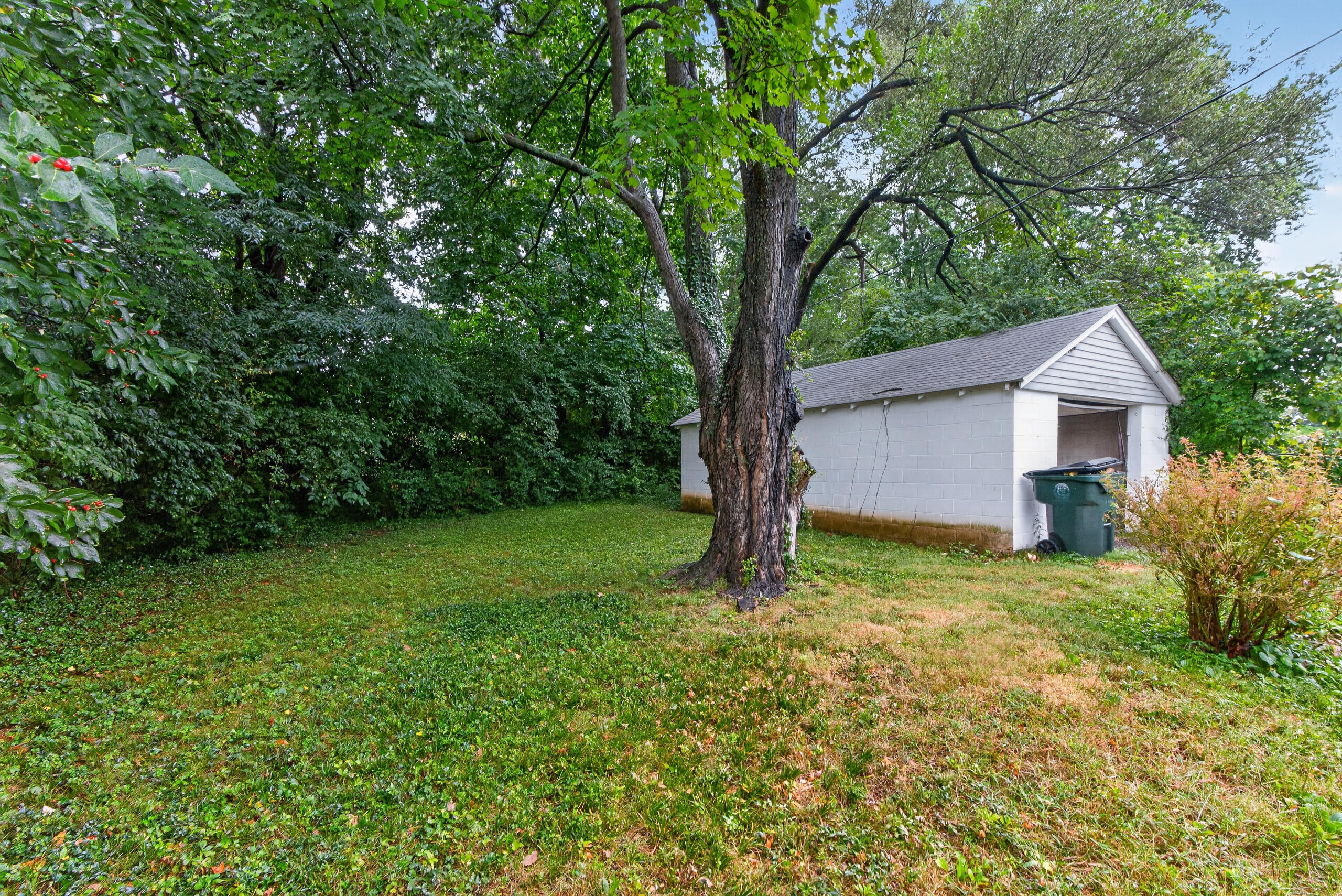 815 Cheryl Lane Lexington, KY 40504 - Photo 18 of 22 815cheryl18