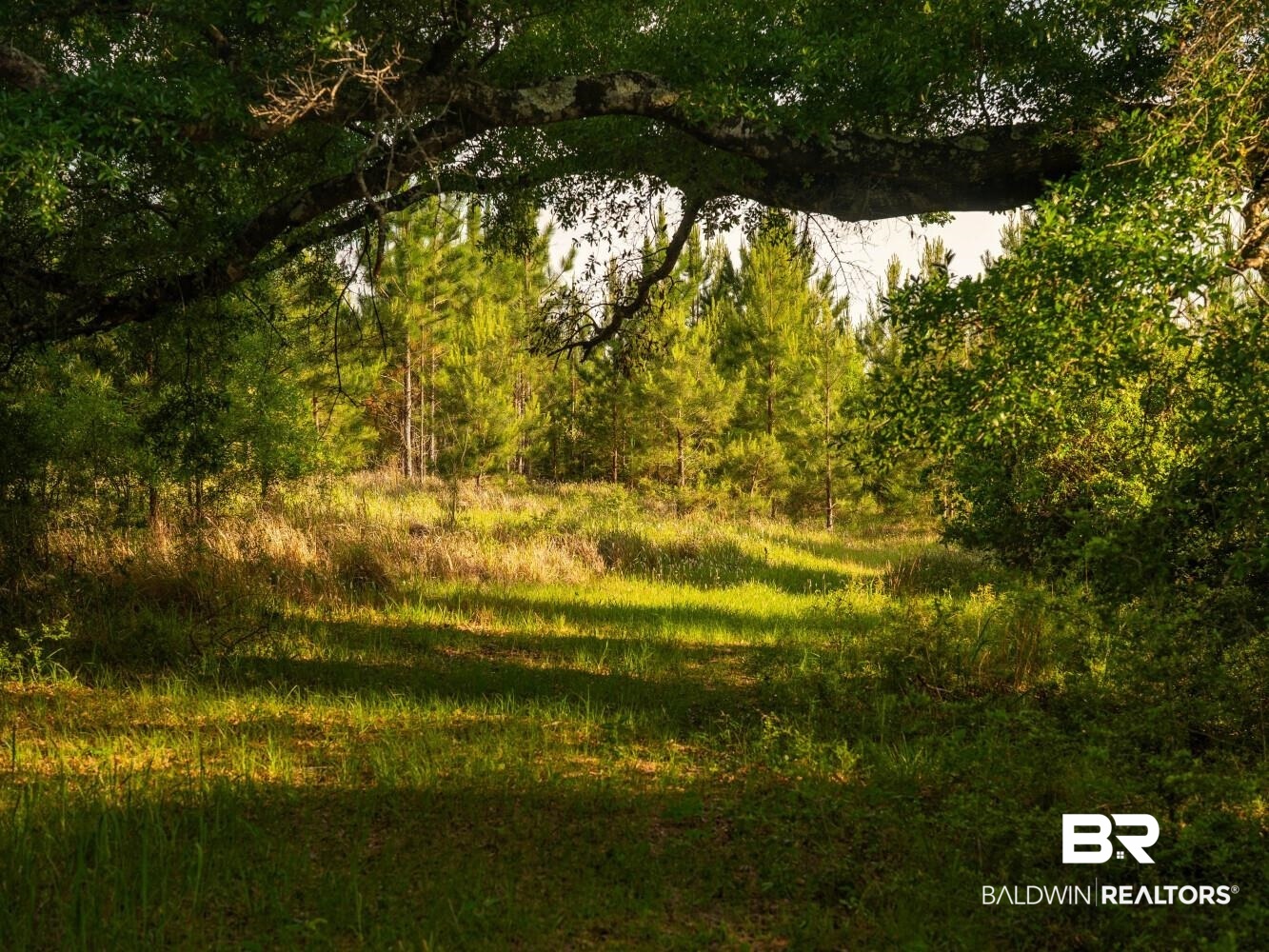 0 Flowers Road Bay Minette, AL 36507 - Photo 53 of 53 Gallery Image 53