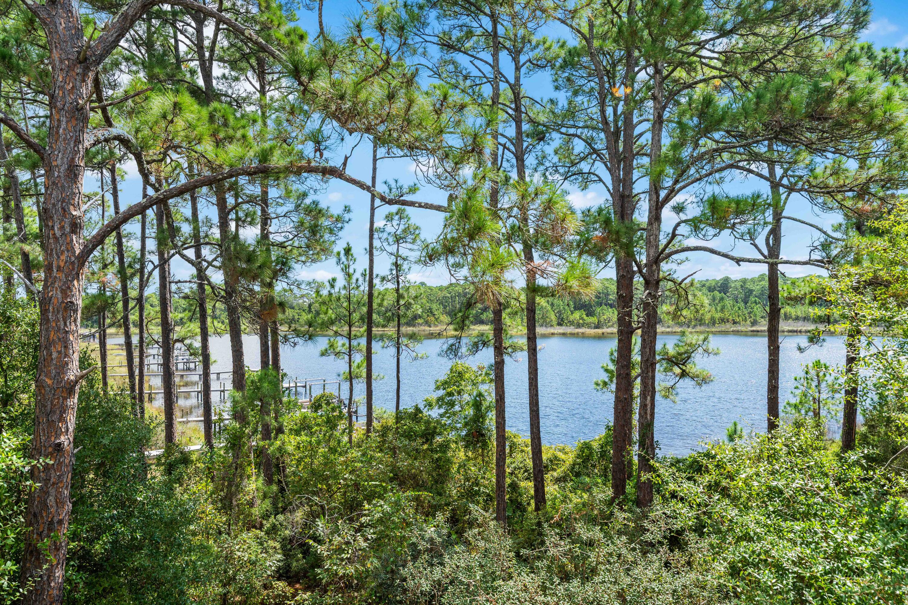 33 South Branch Road Santa Rosa Beach, FL 32459 - Photo 5 of 64 Forever Lake Views