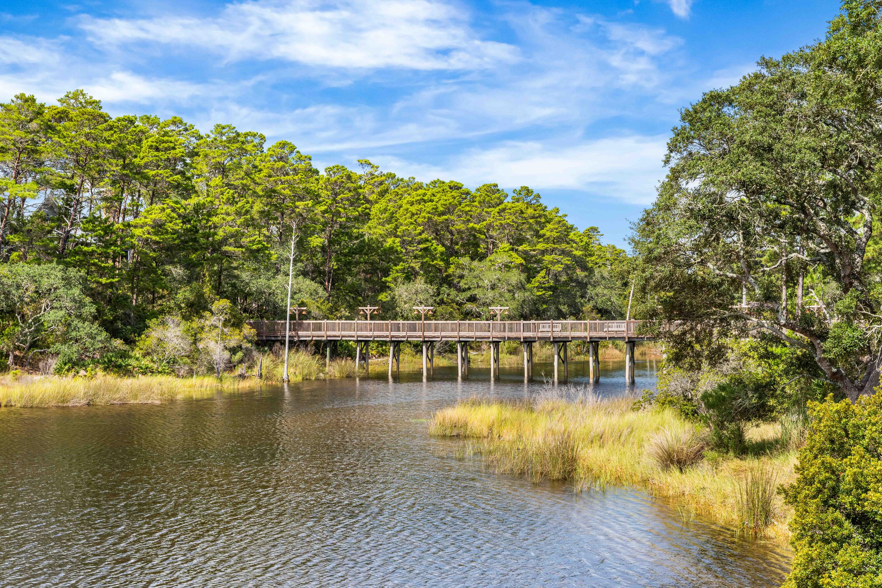 33 South Branch Road Santa Rosa Beach, FL 32459 - Photo 58 of 64 Draper Lake Amenities-8