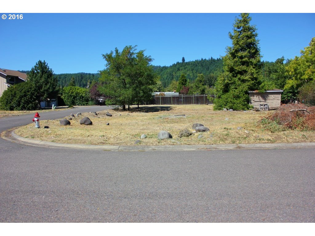 Christel Lane Oakridge, OR 97463 - Photo 2 of 6