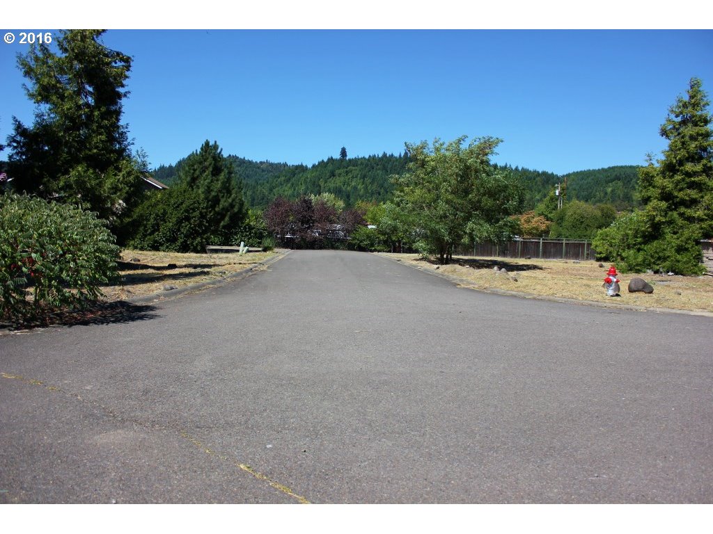 Christel Lane Oakridge, OR 97463 - Photo 3 of 6