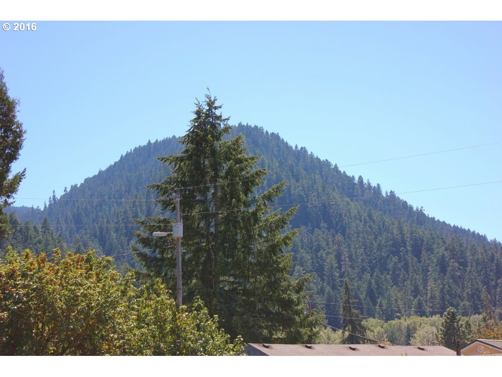 Christel Lane Oakridge, OR 97463 - Photo 4 of 6