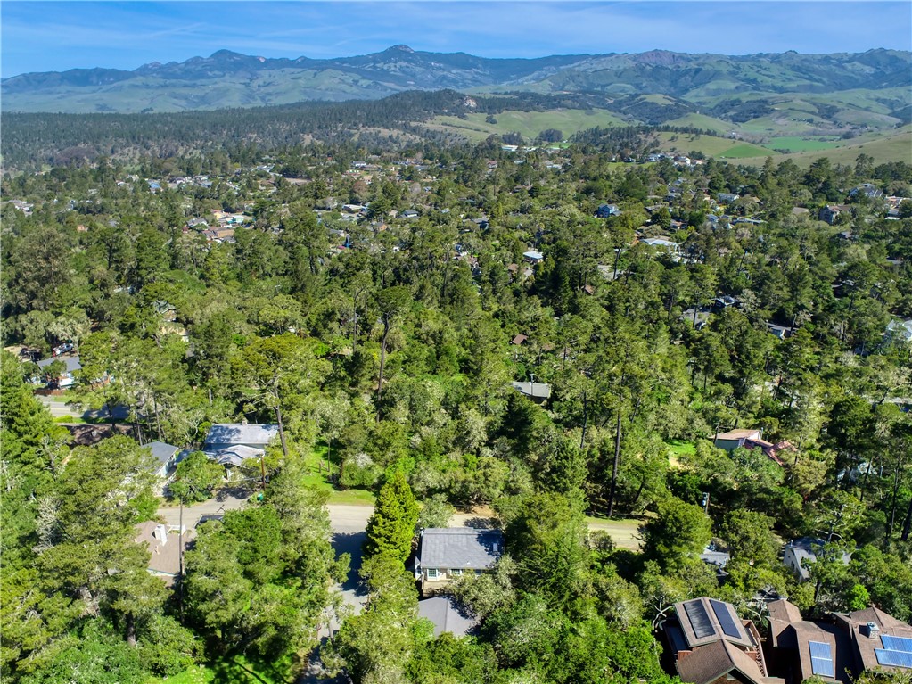 1990 Dorking Avenue Cambria, CA 93428 - Photo 68 of 69