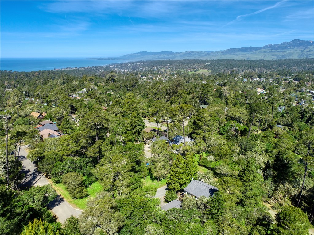 1990 Dorking Avenue Cambria, CA 93428 - Photo 69 of 69