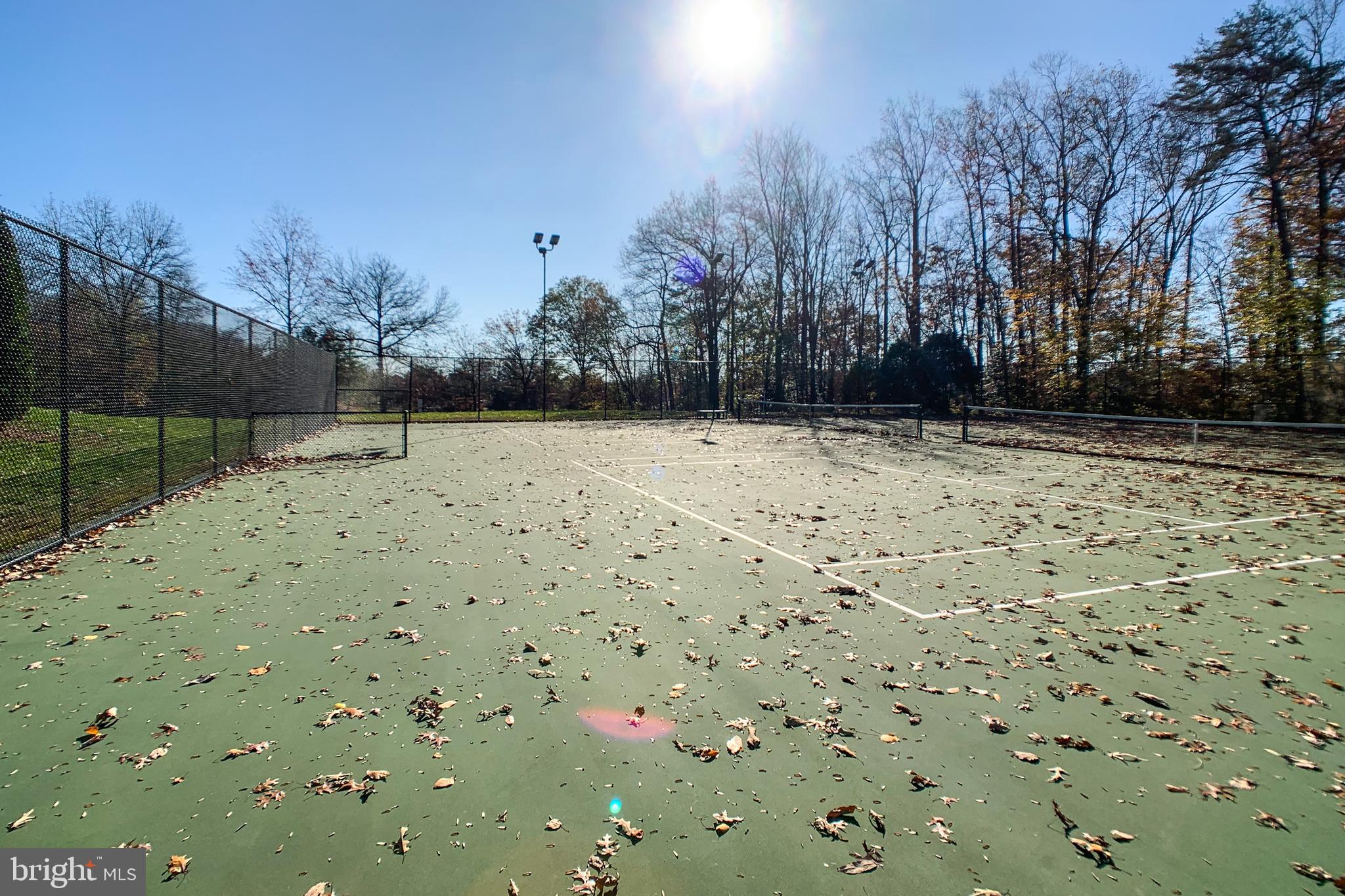 6988 Cromarty Drive Alexandria, VA 22315 - Photo 59 of 62