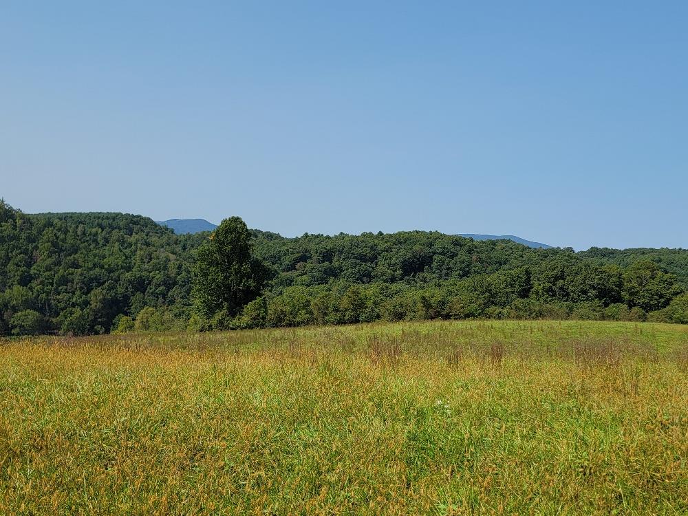Lot # Moxley Ridge Road, Unit LOT #50 Sparta, VA 28675 - Photo 34 of 37 Gallery Image 34