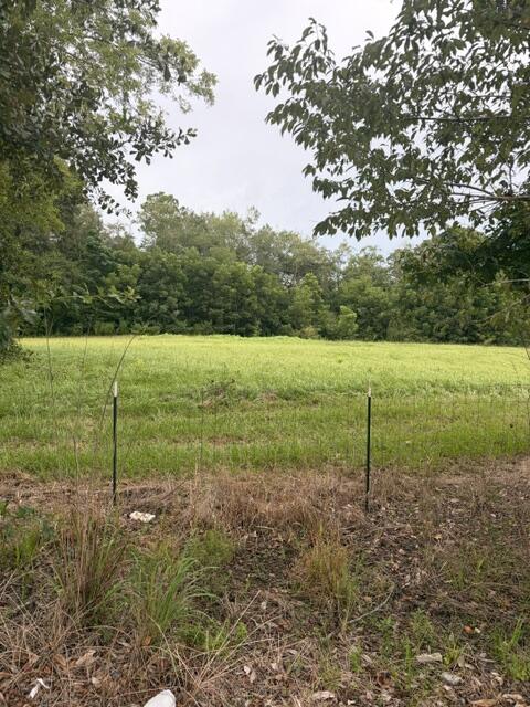 0 State Highway Slocomb, AL 36375 - Photo 5 of 6 Gallery Image 5