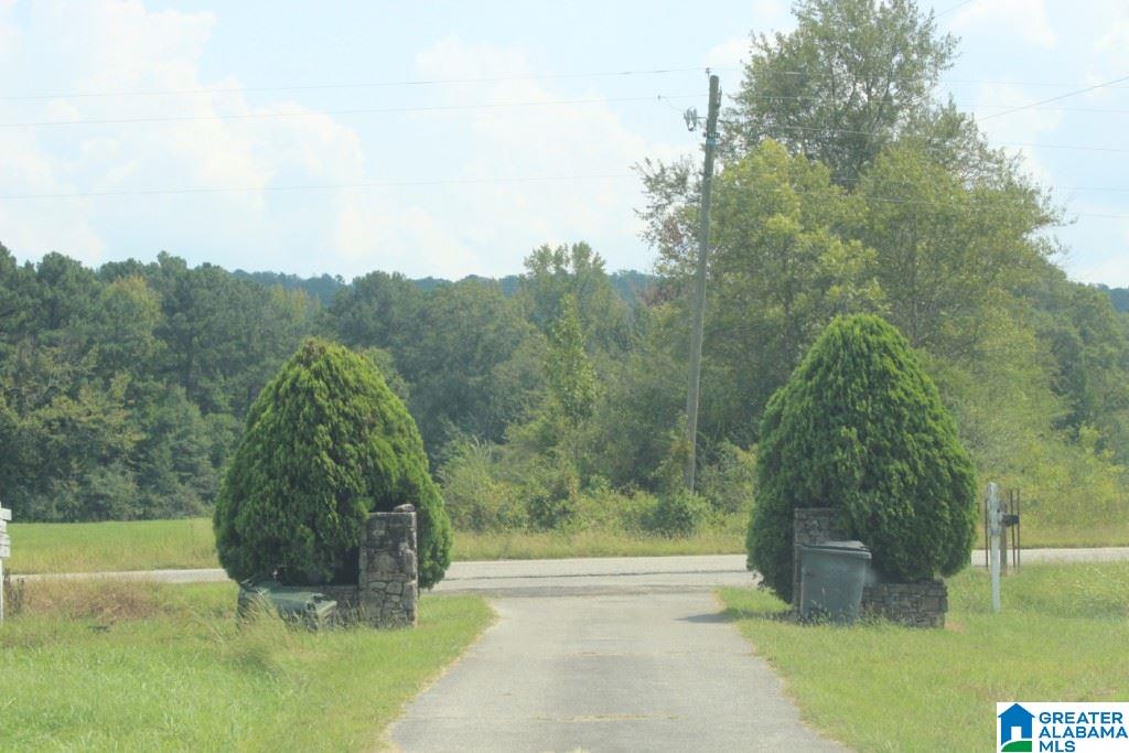 3201 Crawford Cove Road Springville, AL 35146 - Photo 39 of 40