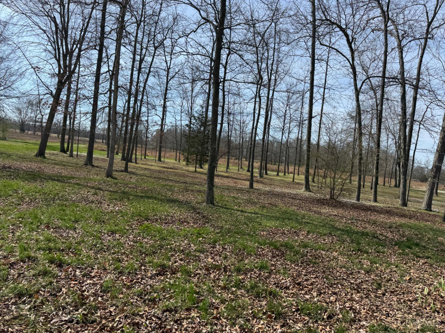 7212 Kelch Road Sardinia, OH 45171 - Photo 87 of 90