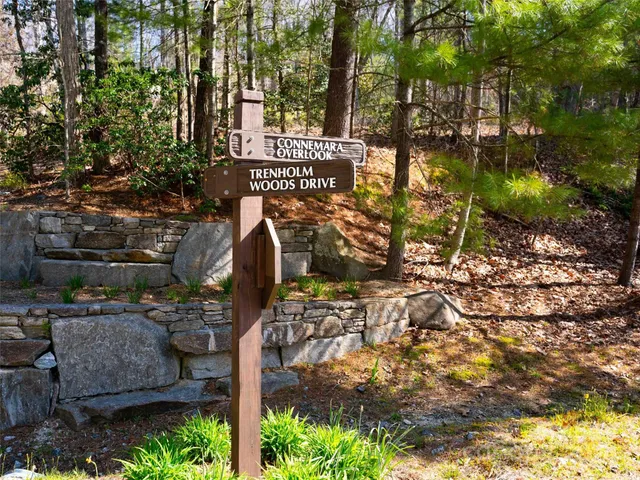 a outdoor space with lots of plants and trees