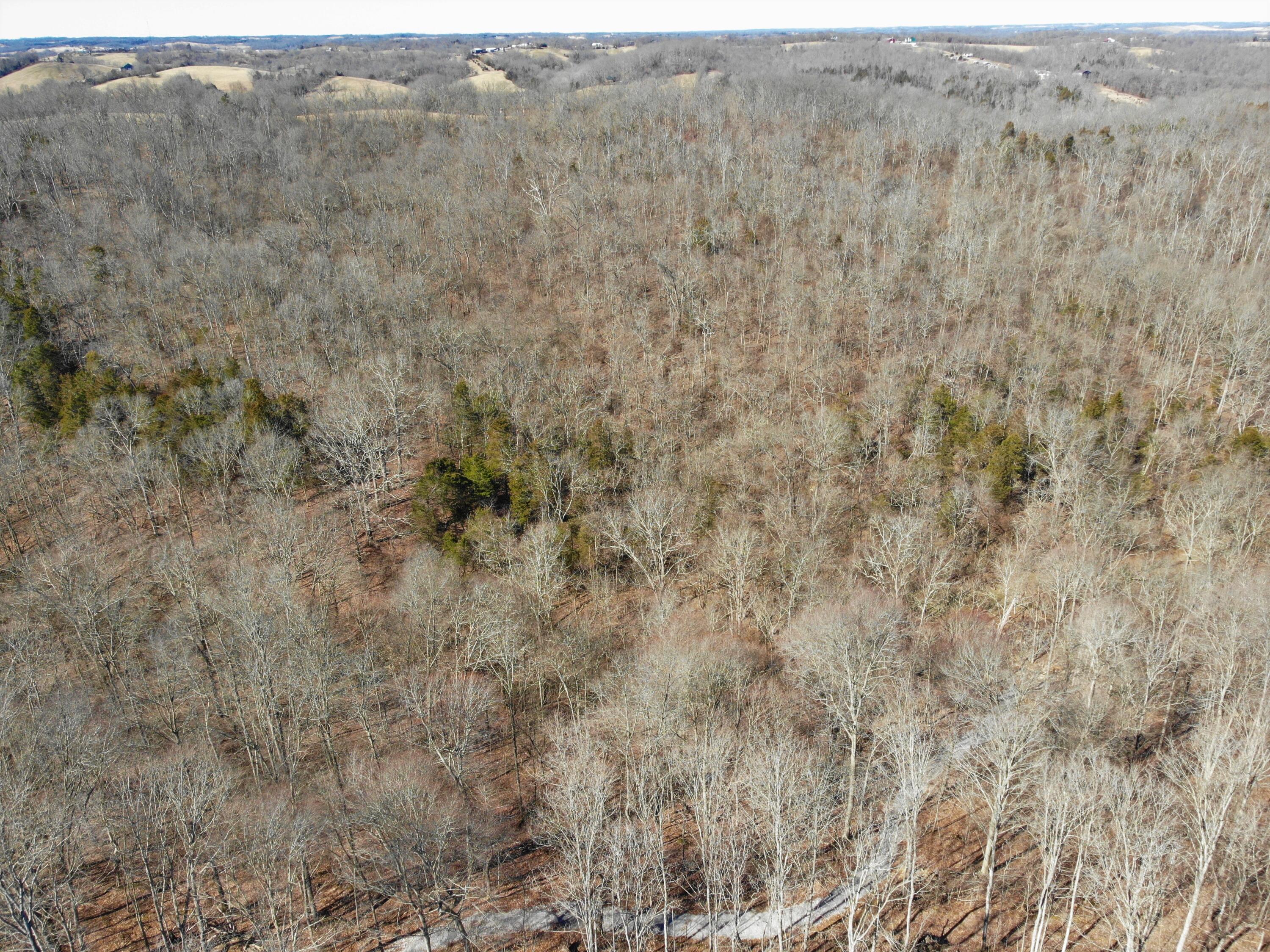 0 Persimmon Ridge Road Carlisle, KY 40311 - Photo 10 of 23 DJI_0835 (2)