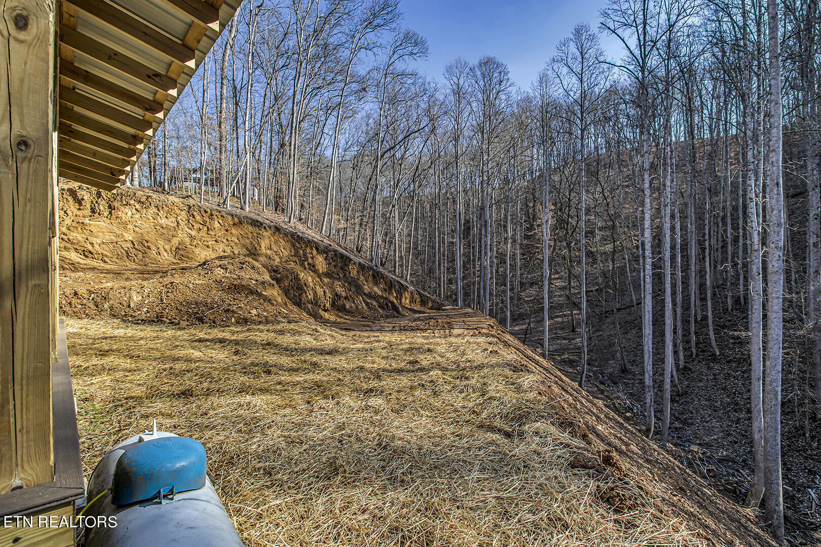 1441 Fawn Road Seymour, TN 37865 - Photo 47 of 54 47_FawnRoad_1441_Backyard