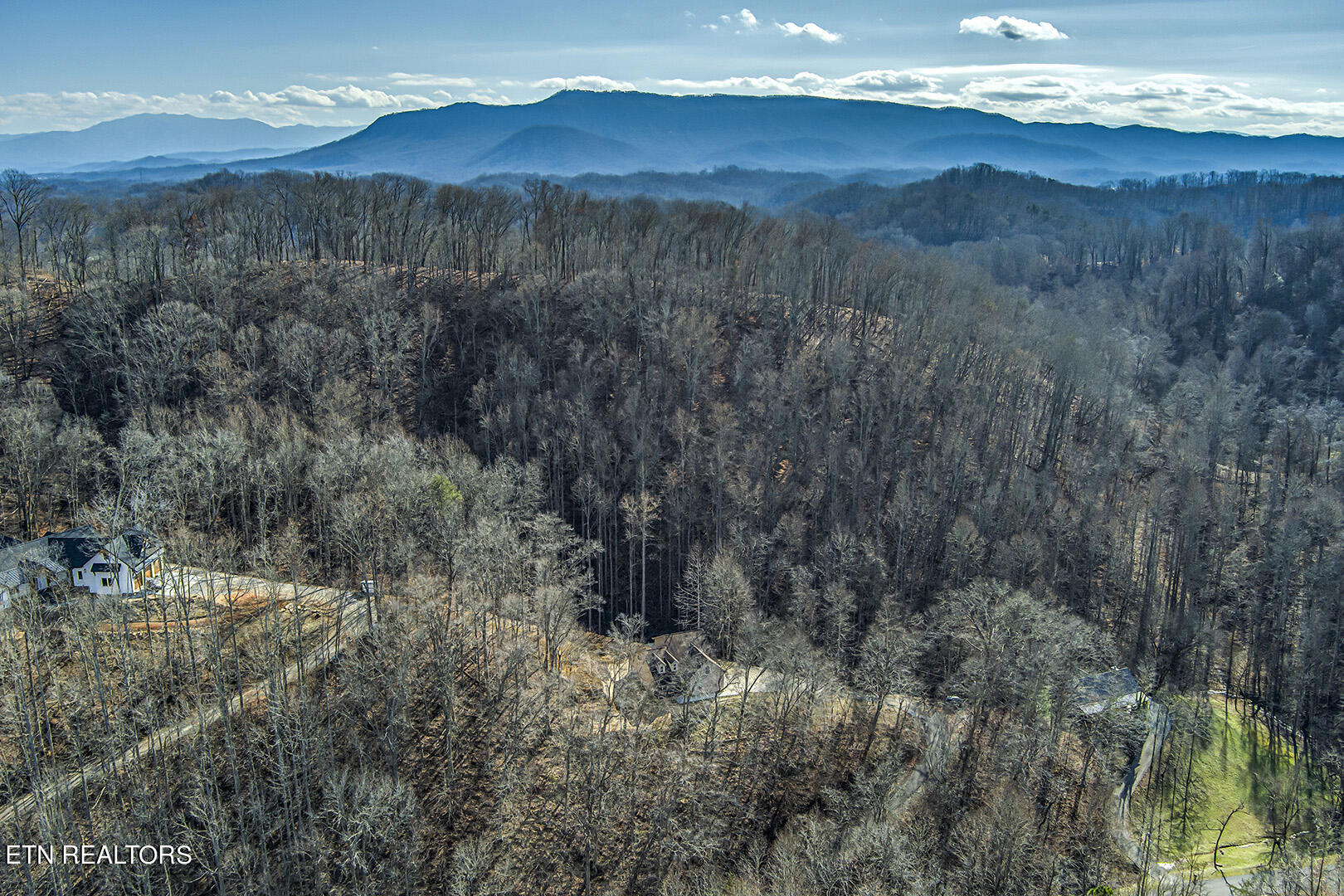 1441 Fawn Road Seymour, TN 37865 - Photo 50 of 54 50_FawnRoad_1441_FrontBirdseye