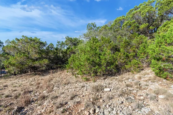 a view of a yard with a plant