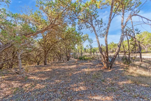 a view of dirt yard with a tree
