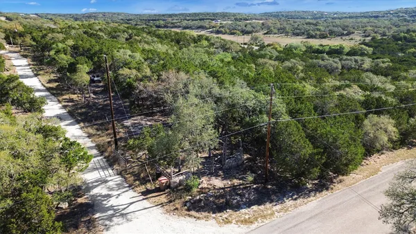 a view of a forest with a street