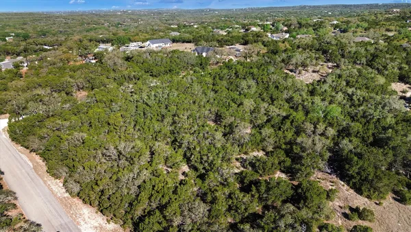 a view of a city with lush green forest