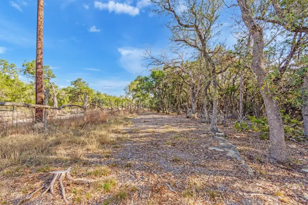 a view of a yard with tree s