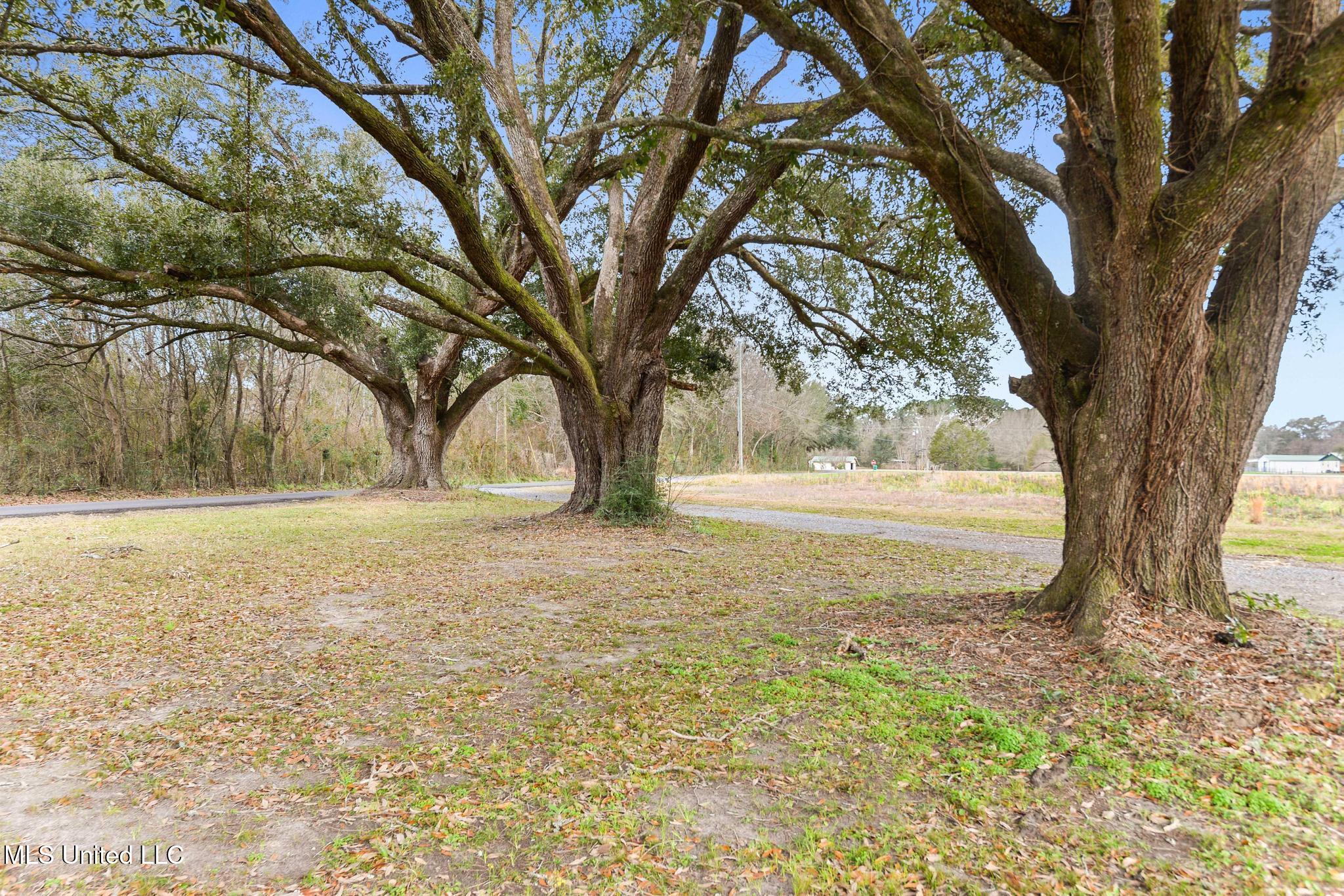 5901 Lum Reeves Road Lucedale, MS 39452 - Photo 21 of 25 IMG_6254