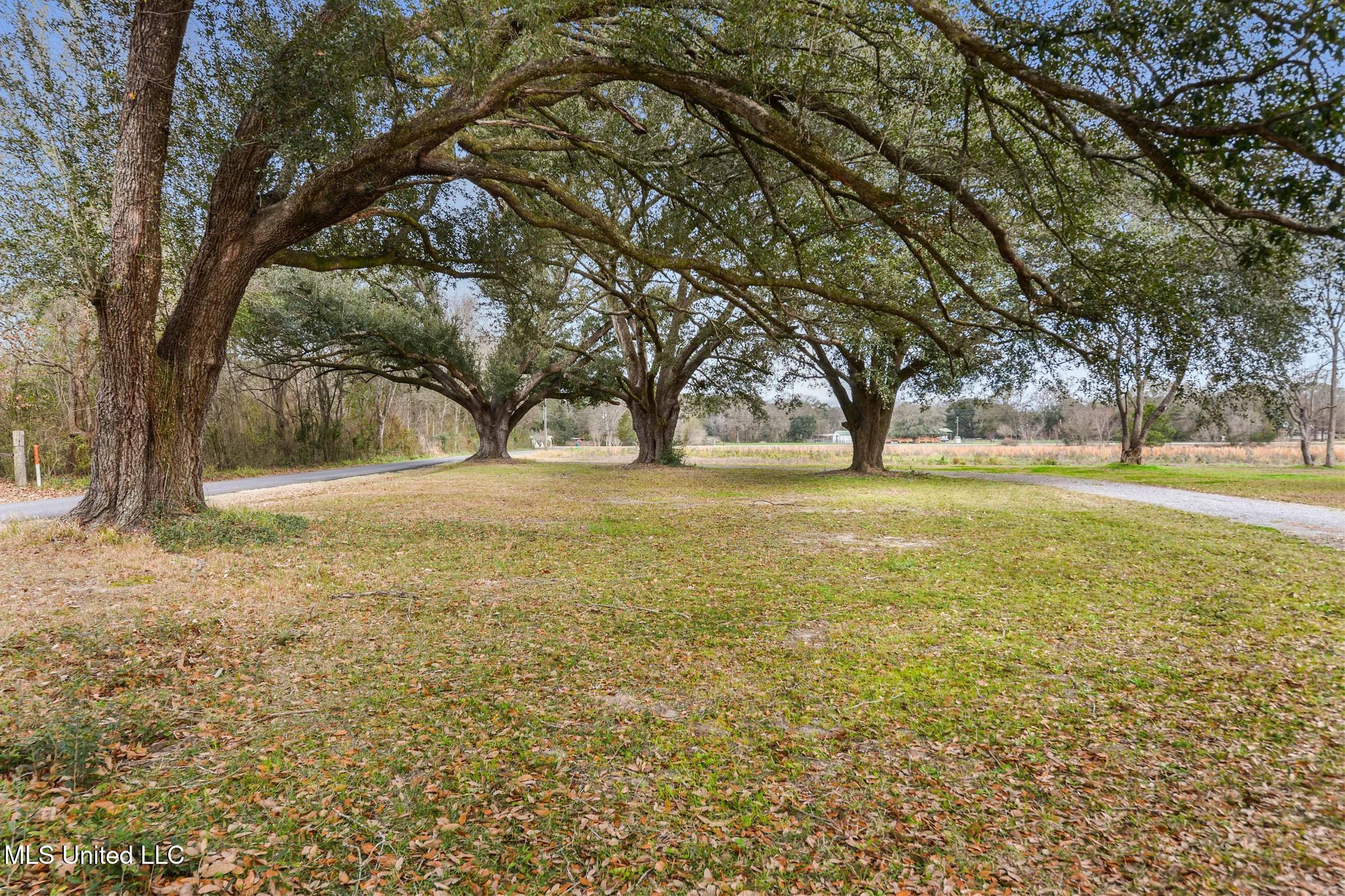 5901 Lum Reeves Road Lucedale, MS 39452 - Photo 22 of 25 IMG_6253