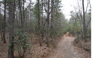 Lt3-4 Double Springs Road Young Harris, GA 30582 - Photo 4 of 4 Additional View
