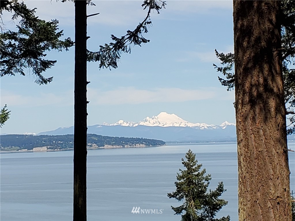 134 North Pheasant Run Road Coupeville, WA 98239 - Photo 2 of 40 Gallery Image 2
