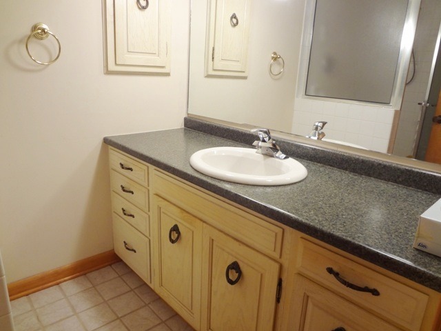 353 South Stott Street Genoa, IL 60135 - Photo 14 of 23