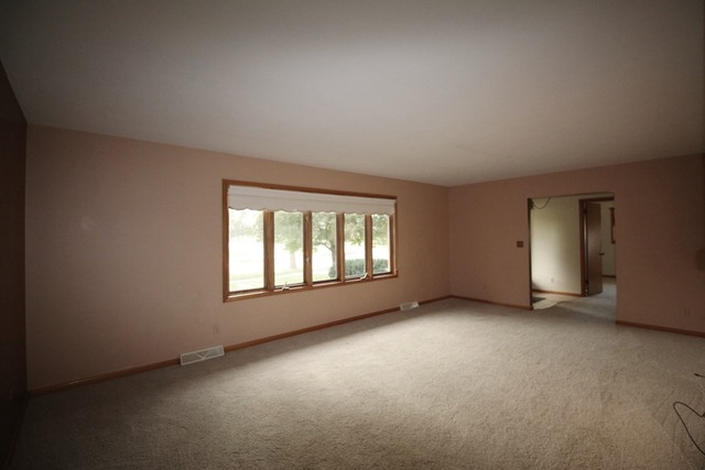 353 South Stott Street Genoa, IL 60135 - Photo 4 of 23