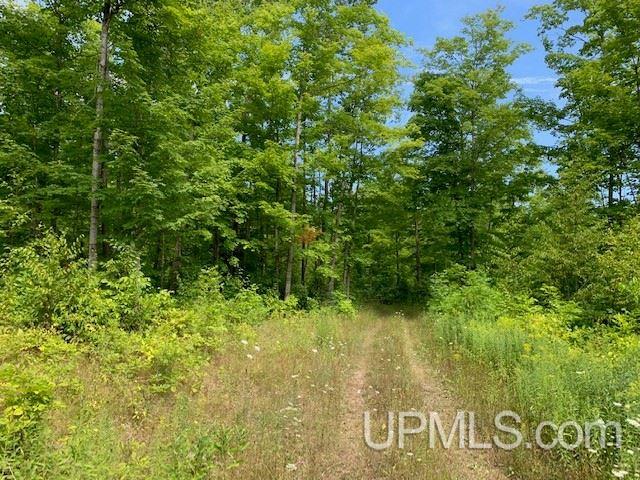 Tbd M69 Nadeau, MI 49863 - Photo 9 of 14