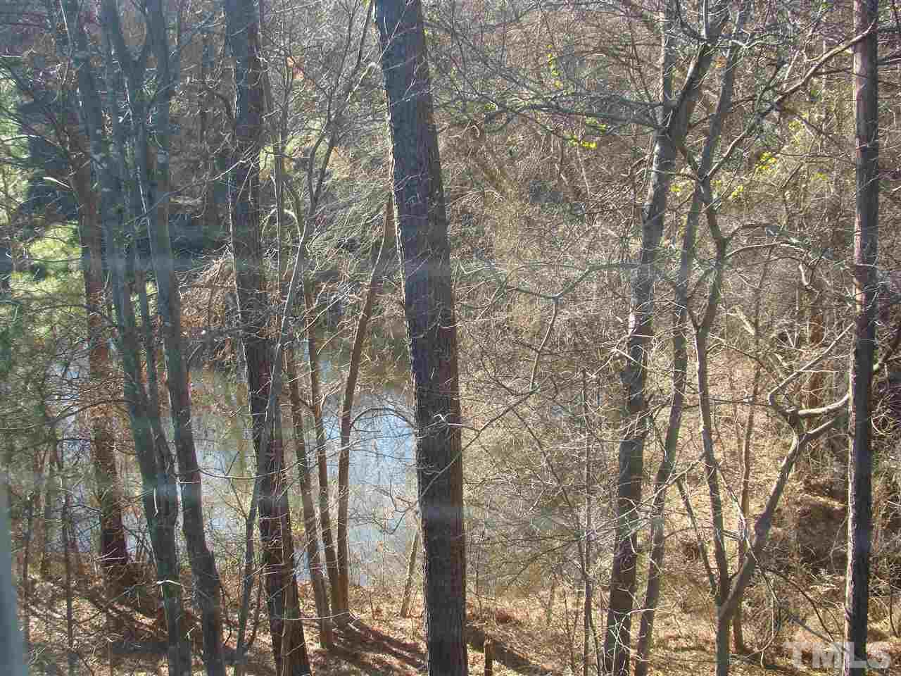 3102 Binghampton Lane Raleigh, NC 27604 - Photo 11 of 13 a view of a forest