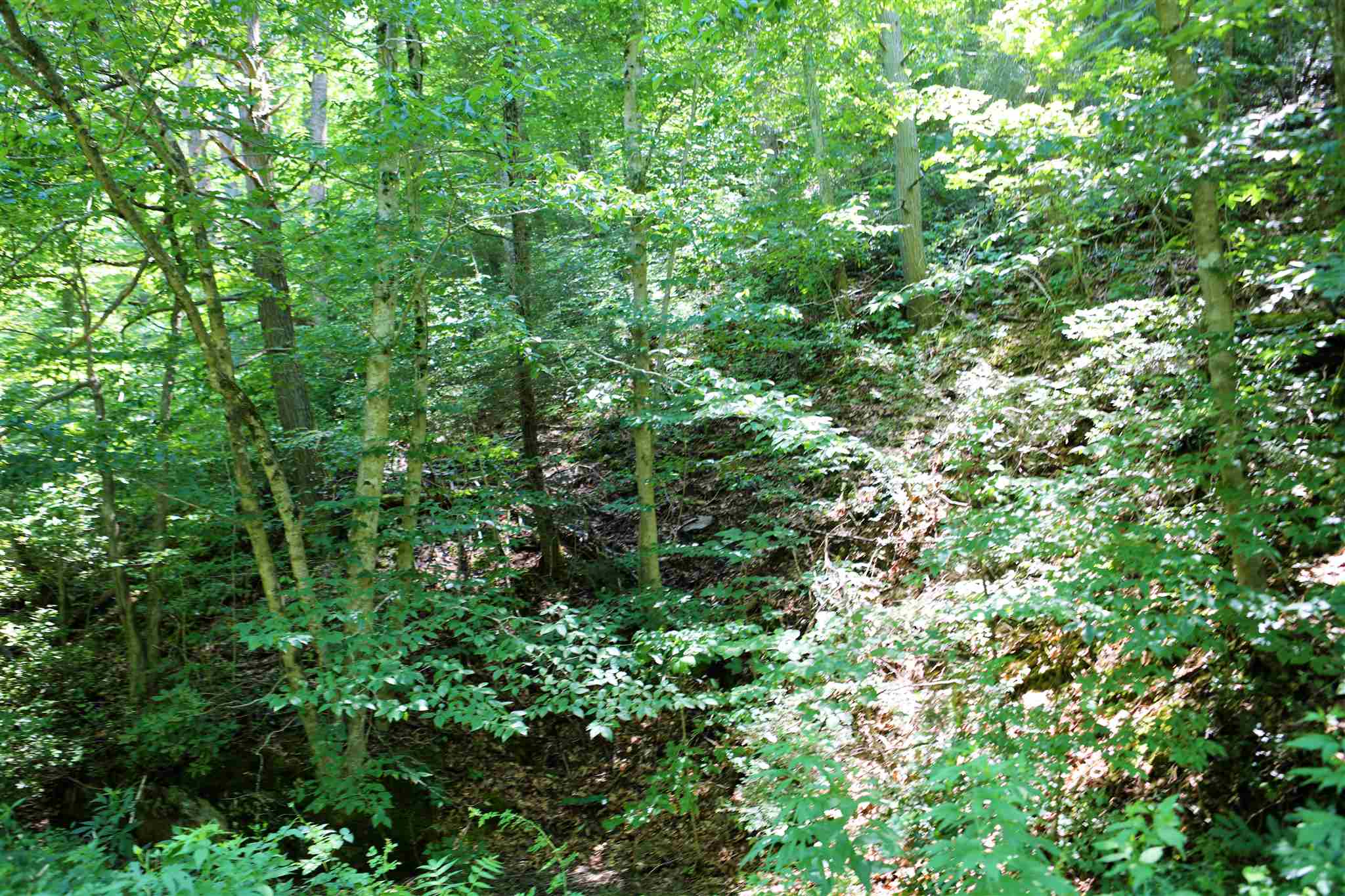 418 Love Road Lyndhurst, VA 22952 - Photo 8 of 50 Gallery Image 8