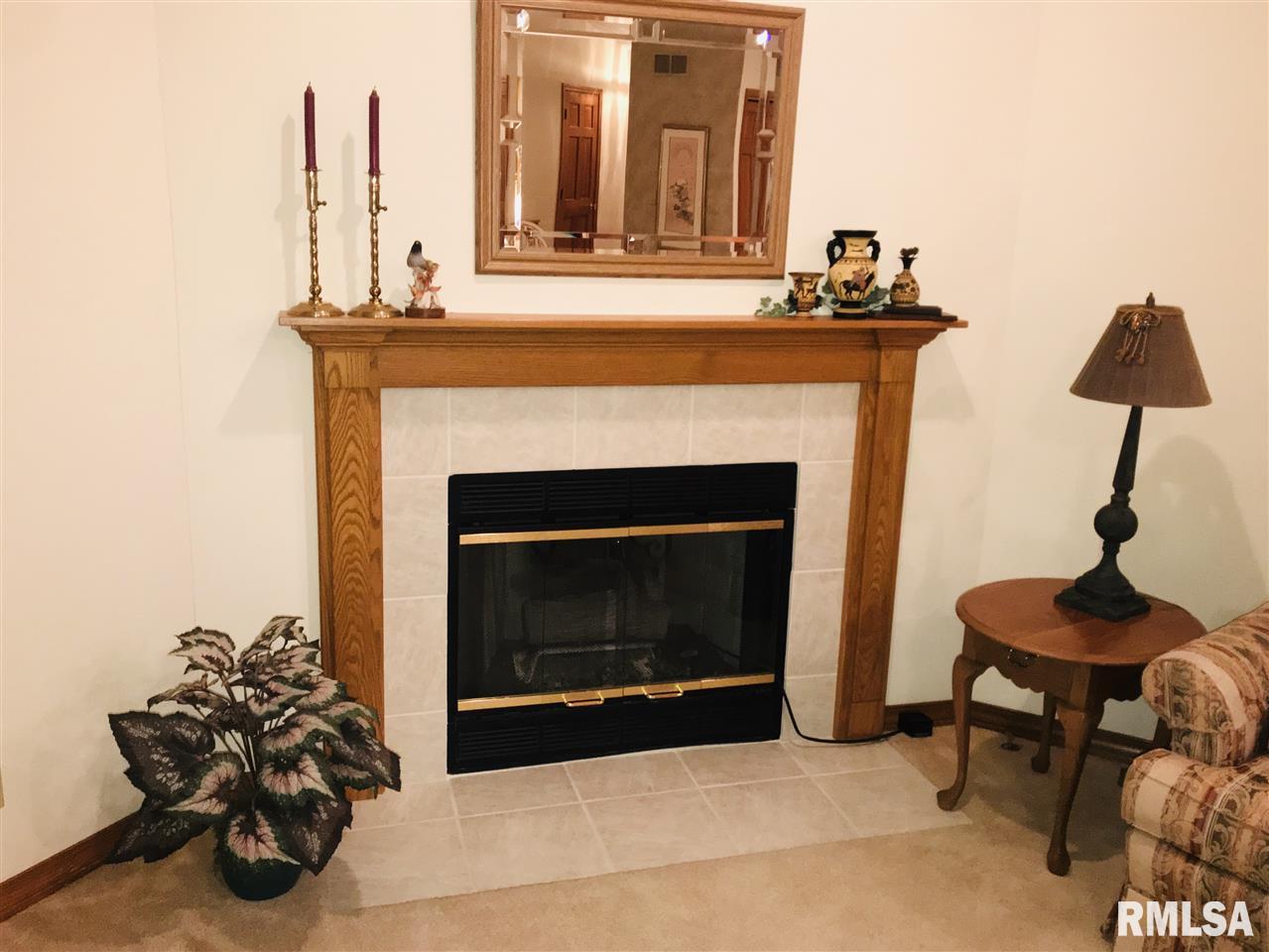 1007 Linden Street Morton, IL 61550 - Photo 19 of 30 Gallery Image 19