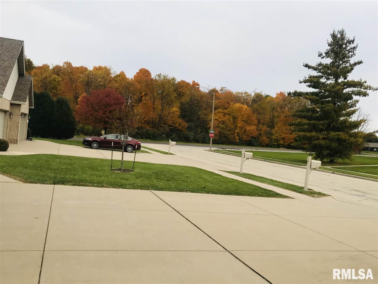 1007 Linden Street Morton, IL 61550 - Photo 9 of 30 Gallery Image 9