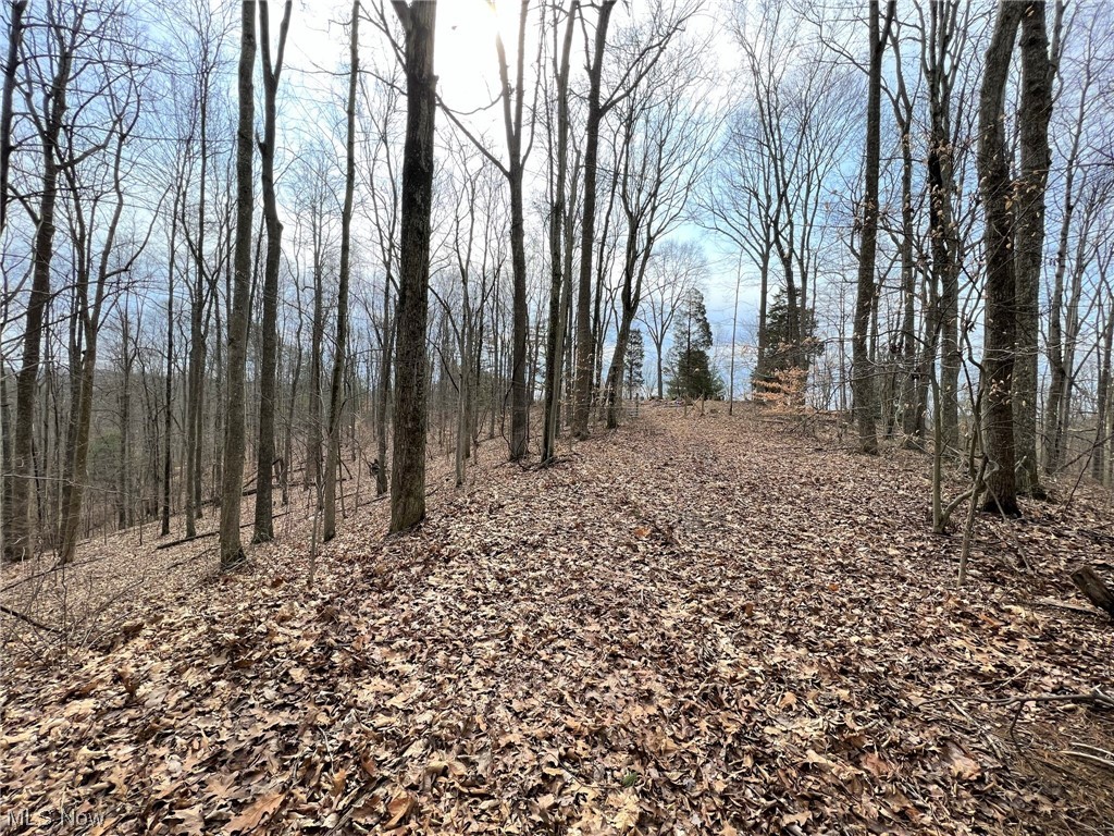 1 Norman Ridge Road Big Bend, WV 26136 - Photo 16 of 20 Gallery Image 16