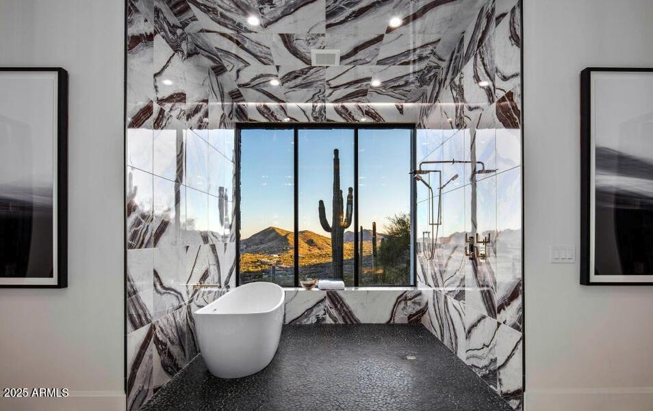 4880 East Lone Mountain Road North Cave Creek, AZ 85331 - Photo 42 of 73 Primary Tub/Shower