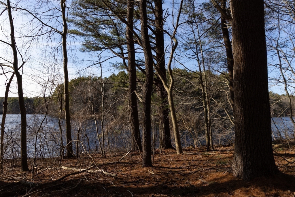 86 Dodges Row Wenham, MA 01984 - Photo 34 of 40 a view of a backyard of the house