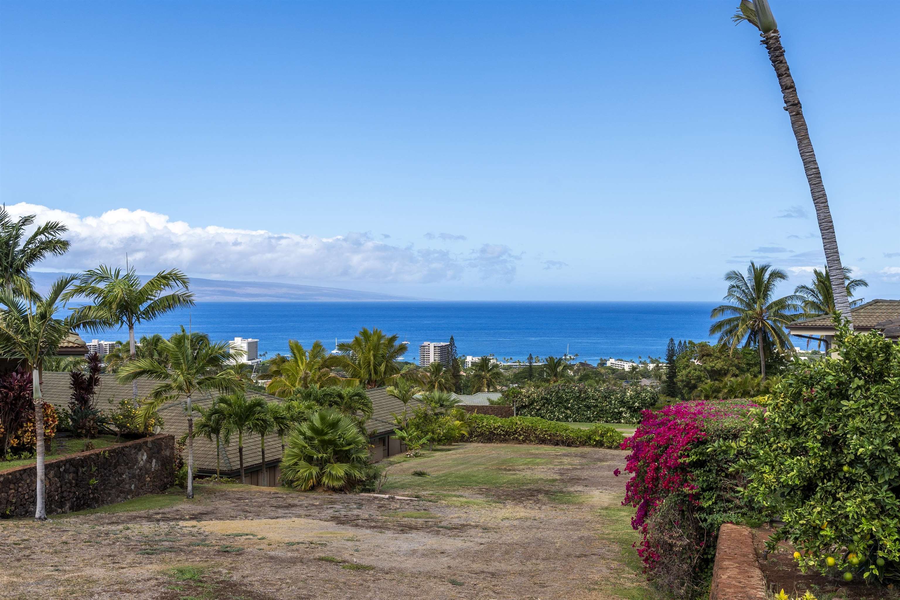 411 Wekiu Place Lahaina, HI 96761 - Photo 16 of 29