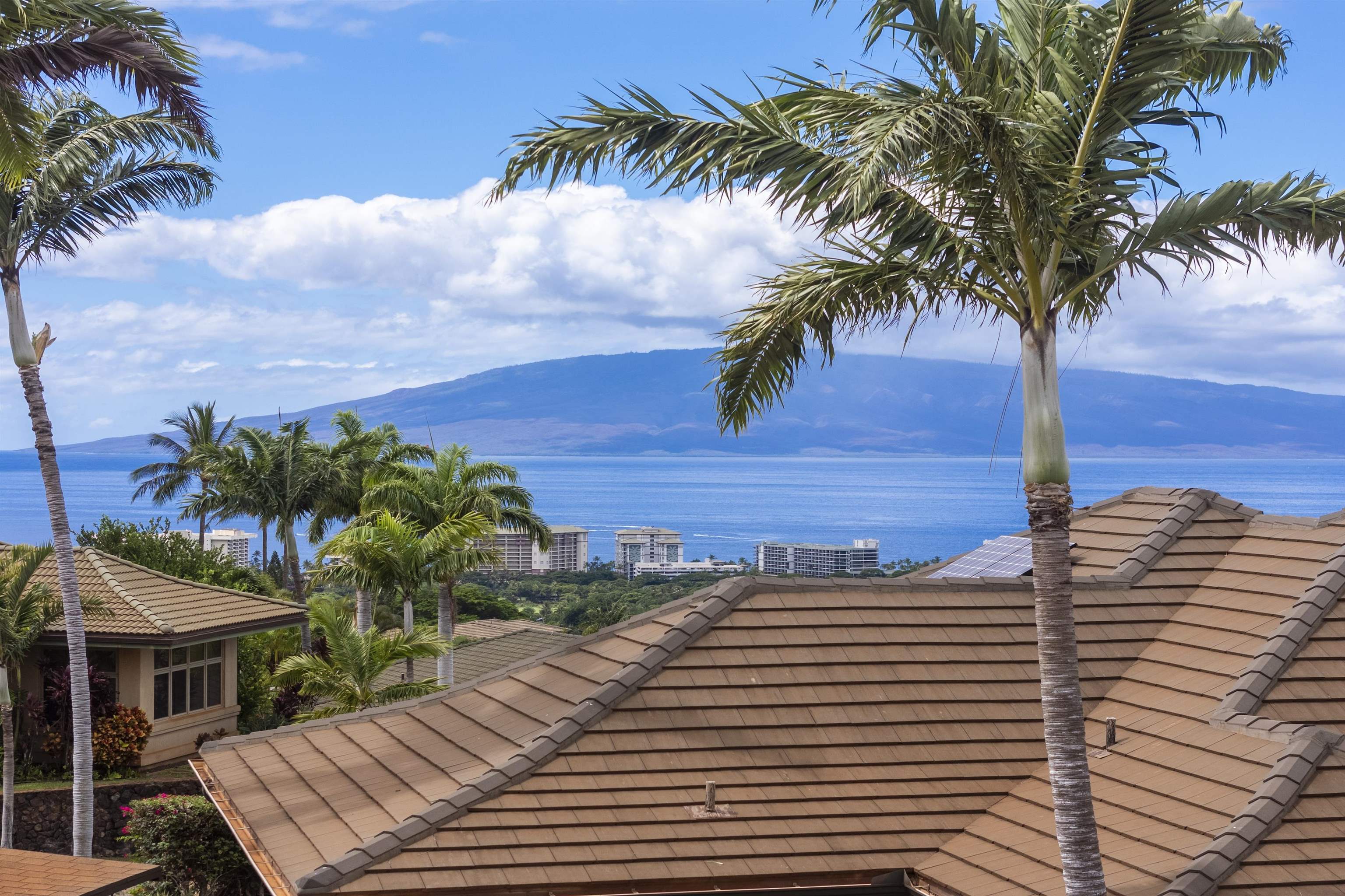411 Wekiu Place Lahaina, HI 96761 - Photo 19 of 29