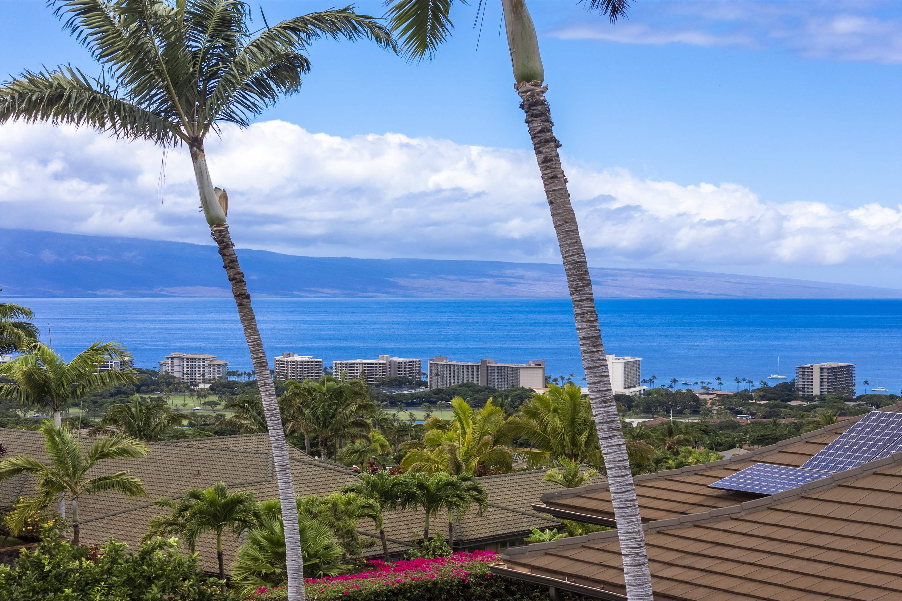 411 Wekiu Place Lahaina, HI 96761 - Photo 7 of 29