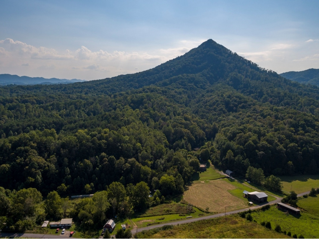 337 Devils Nose Road Rogersville, TN 37857 - Photo 5 of 36 Photo 5