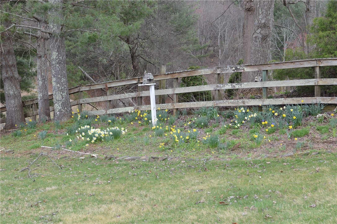 2081 Baker's Ridge Road Piney Creek, NC 28663 - Photo 49 of 49