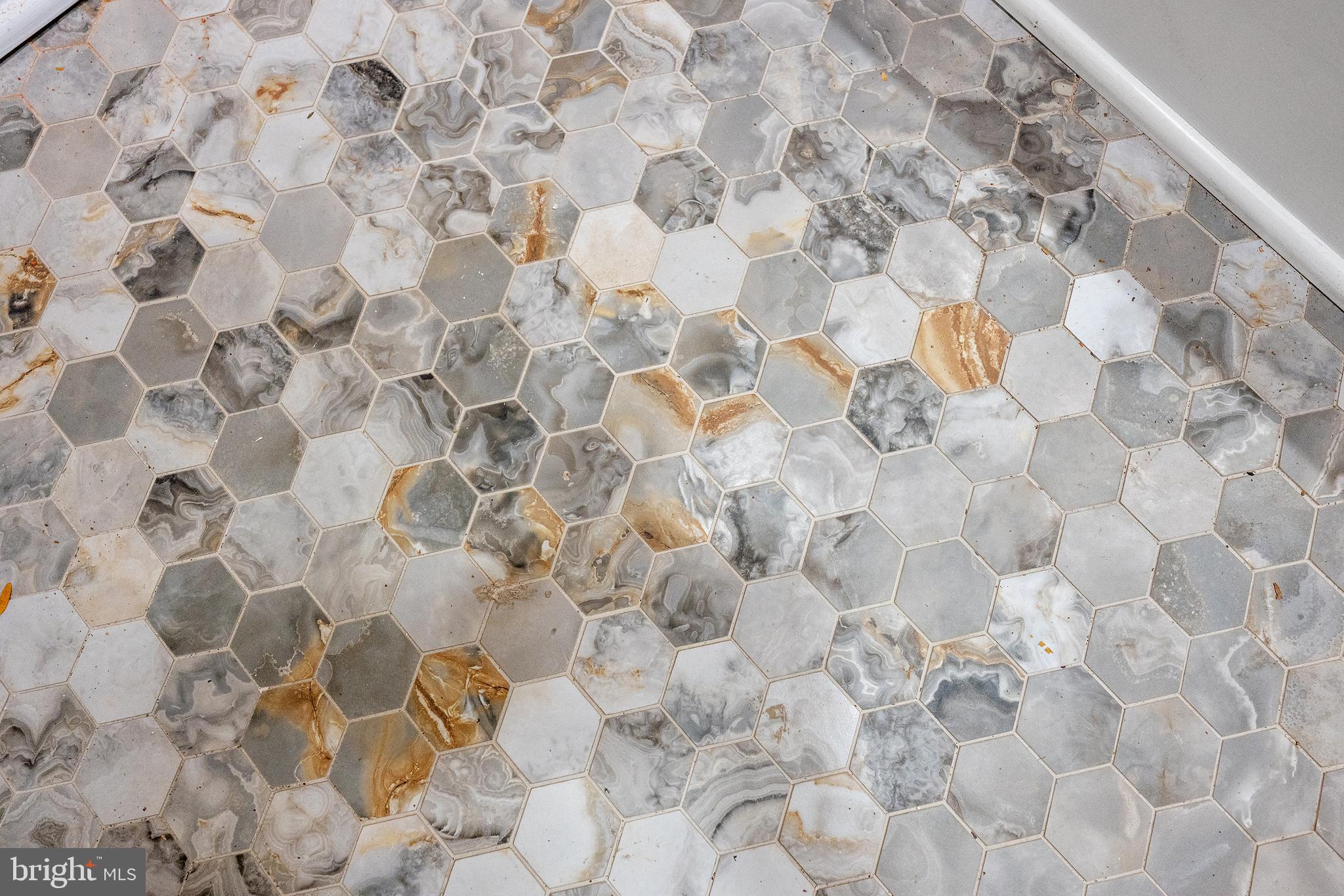 1358 Towson Street Baltimore, MD 21230 - Photo 3 of 51 a close up of a shower curtain